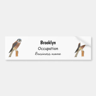 American Kestrel bird illustration Bumper Sticker