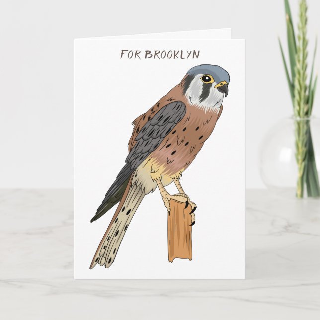 American Kestrel bird illustration Card (Front)