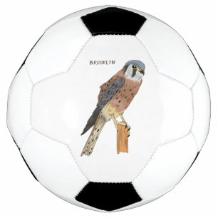 American Kestrel bird illustration Football