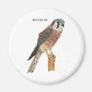American Kestrel bird illustration Magnet