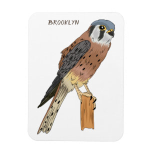 American Kestrel bird illustration Magnet