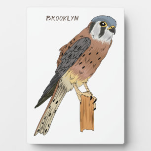 American Kestrel bird illustration Plaque