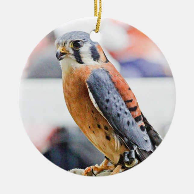 American Kestrel Ceramic Tree Decoration (Front)