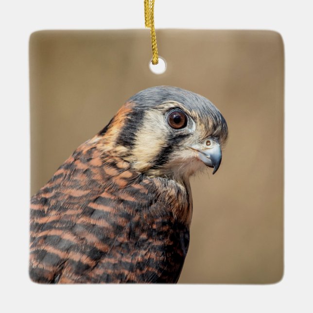 American Kestrel Ceramic Tree Decoration (Front)