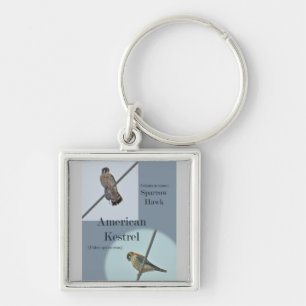 American Kestrel (Falco sparverius) Items Key Ring