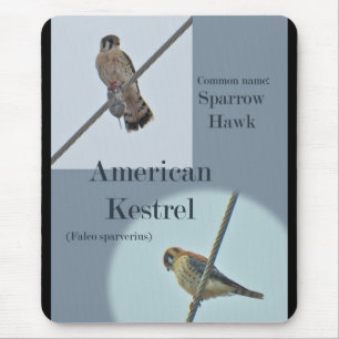 American Kestrel (Falco sparverius) Items Mouse Mat