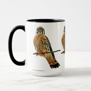 American Kestrel Falcon Mug
