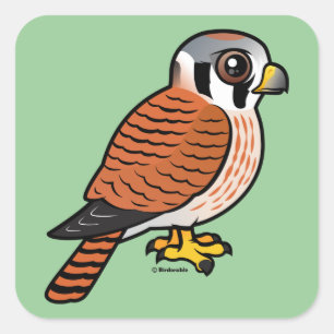 American Kestrel female Square Sticker