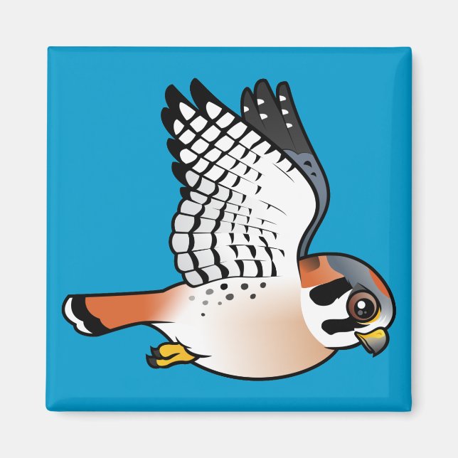 American Kestrel in flight Magnet (Front)