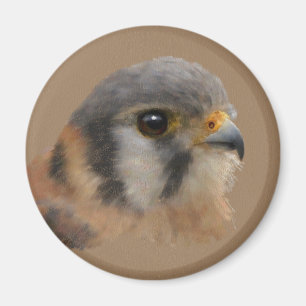 American Kestrel Magnet