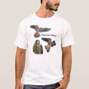 American Kestrel Men's Tee Shirt