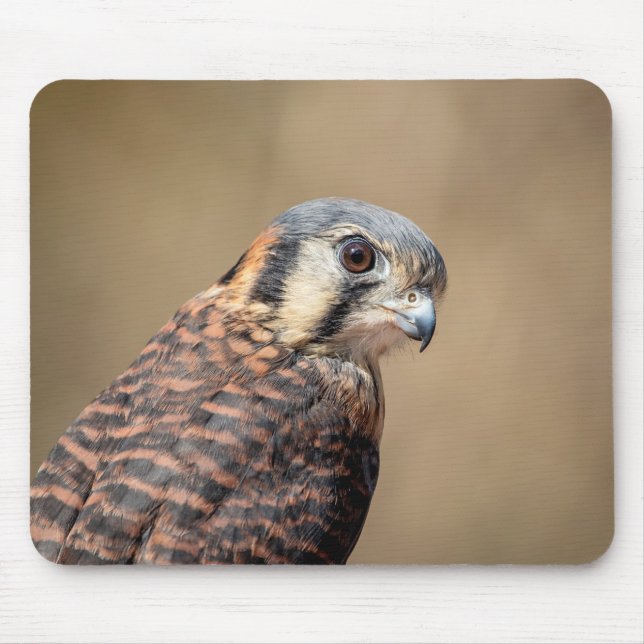 American Kestrel Mouse Mat (Front)