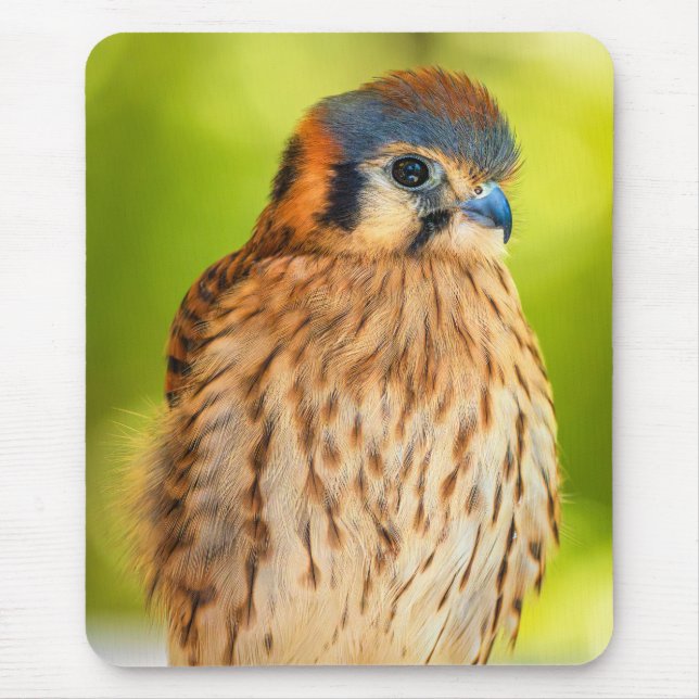 American Kestrel Mouse Pad | Falcon Desk Art (Front)