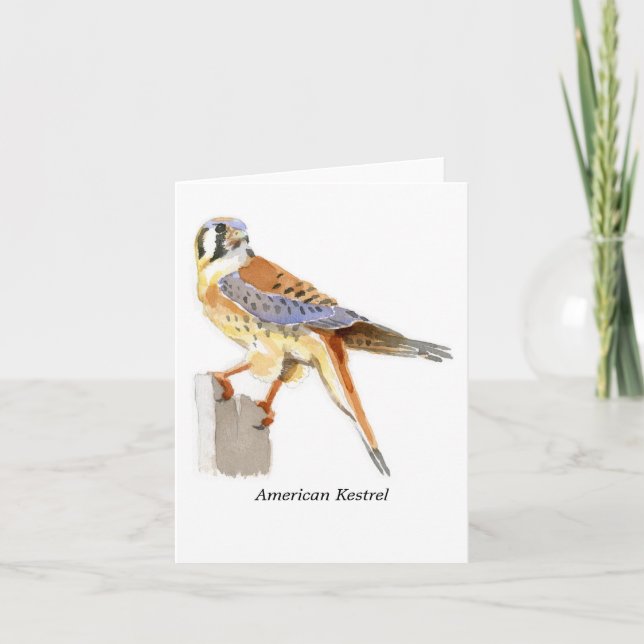 American Kestrel Note Card (Front)