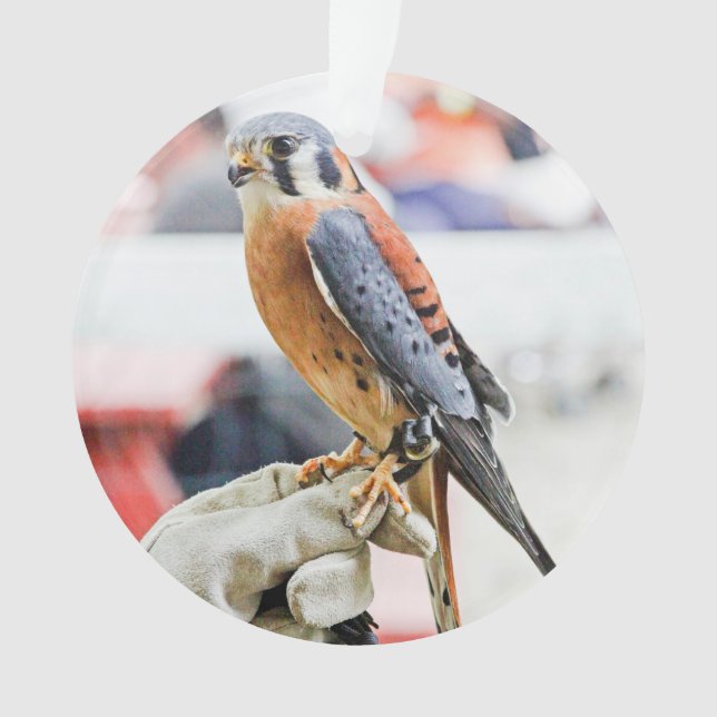American Kestrel Ornament (Front)