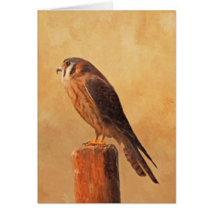 American Kestrel Painting - Original Bird Art