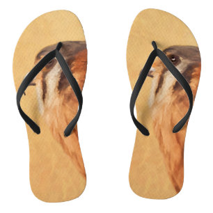 American Kestrel Painting - Original Bird Art Flip Flops