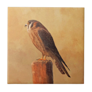 American Kestrel Painting - Original Bird Art Tile