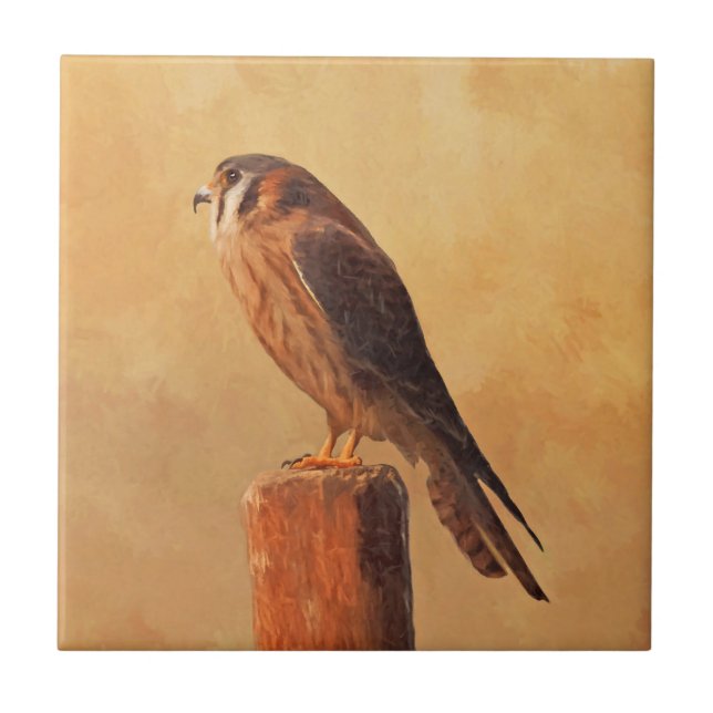 American Kestrel Painting - Original Bird Art Tile (Front)