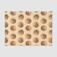 American Kestrel Painting Original Wild Bird Art