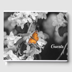 American Lady Butterfly On Blossom Guest Book