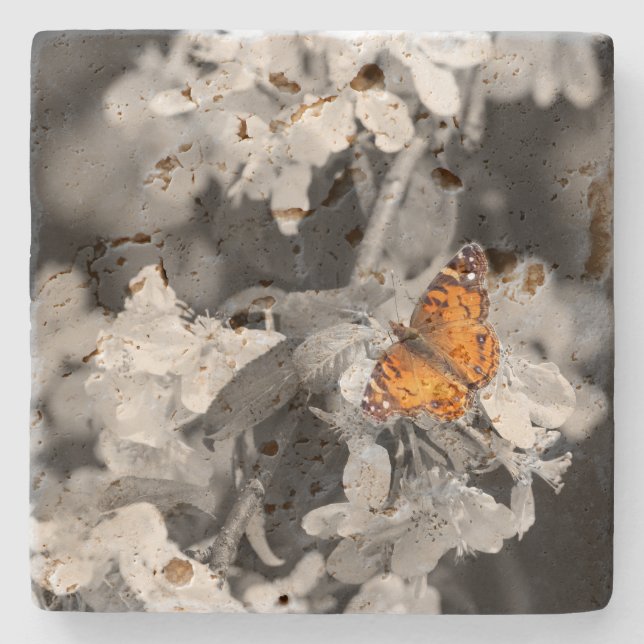 American Lady Butterfly On Blossom Stone Coaster (Front)