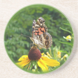 American Lady Butterfly - Vanessa virginiensis Coaster
