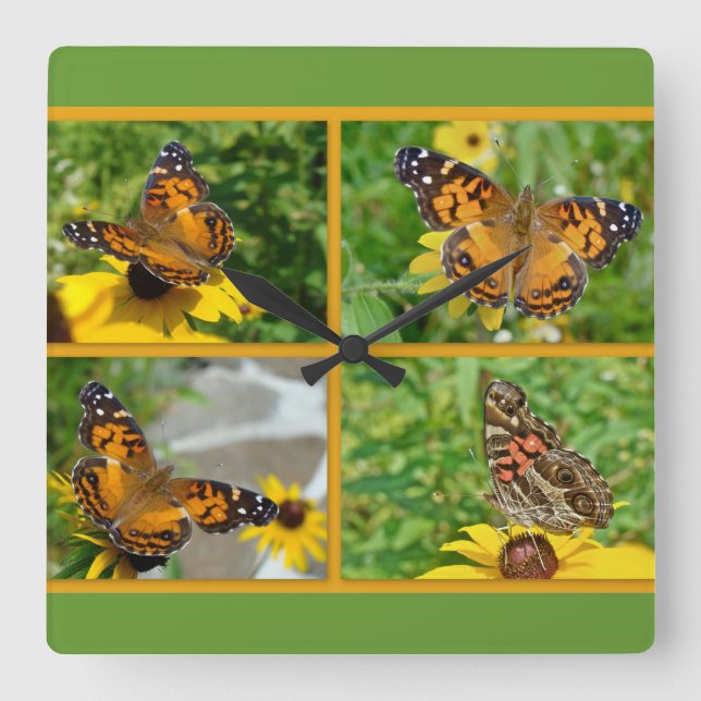 American Lady Butterfly - Vanessa virginiensis Square Wall Clock (Front)
