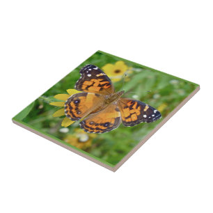 American Lady Butterfly - Vanessa virginiensis Tile