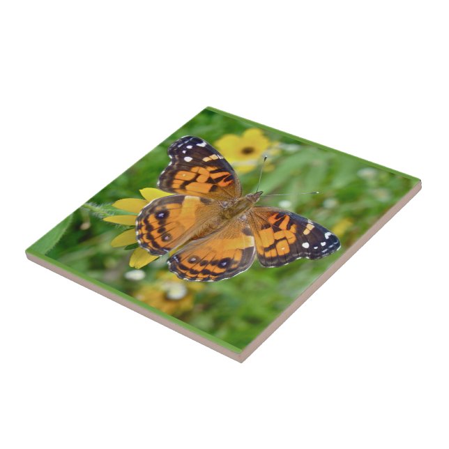 American Lady Butterfly - Vanessa virginiensis Tile (Side)