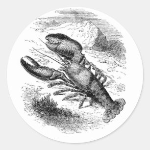 American Lobster Classic Round Sticker