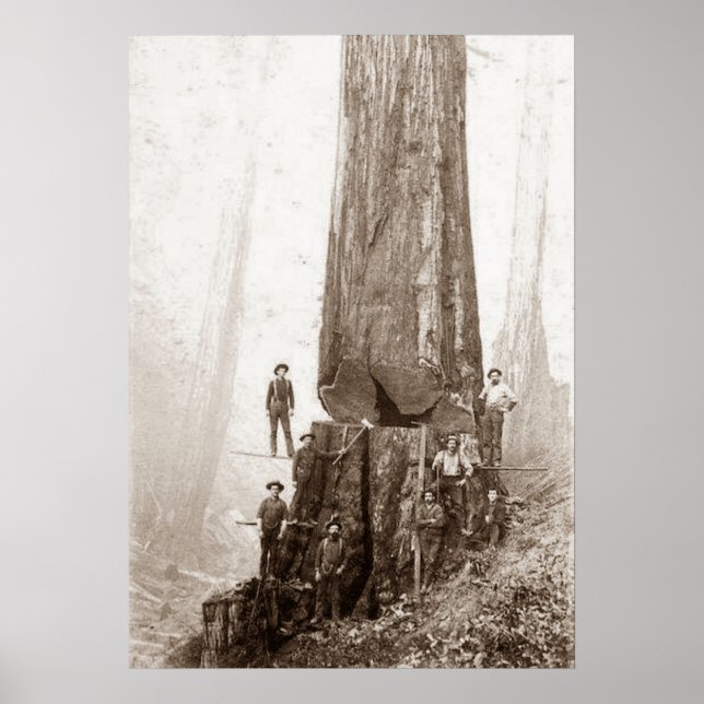 American Loggers Circa 1880 Poster (Front)