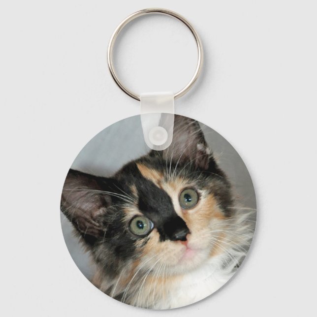 American Longhair Calico Shelter Kitten Keychain (Front)