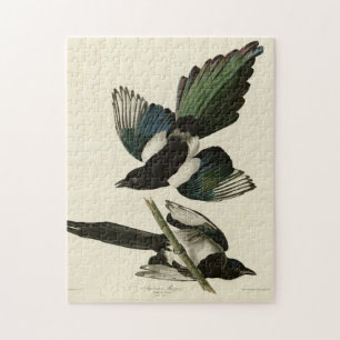 American Magpie from Audubon's Birds of America Jigsaw Puzzle