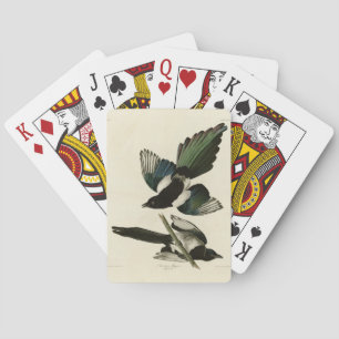 American Magpie from Audubon's Birds of America Playing Cards