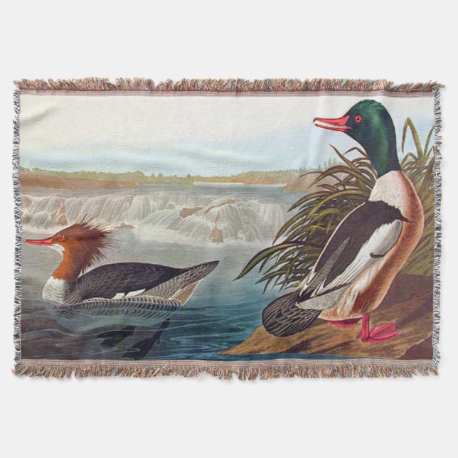 American mallard ducks in a river swimming throw blanket (Front)
