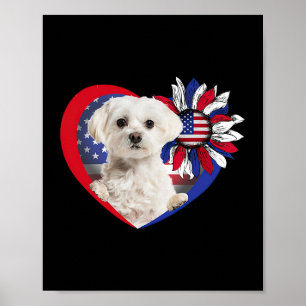 American Maltese Dog Heart 4th Of July USA Flag Pa Poster