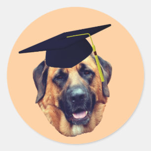American Mastiff Dog Graduation Cap Classic Round Sticker