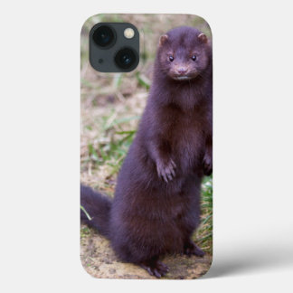 American Mink iPad Mini Case