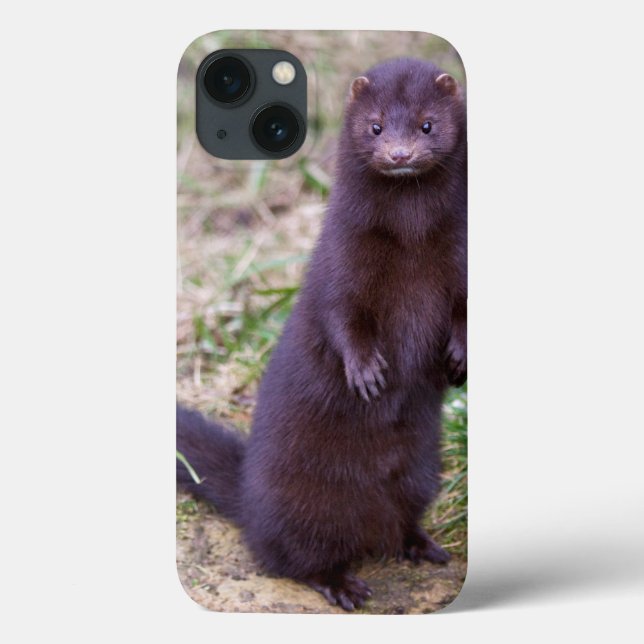 American Mink iPad Mini Case (Back)