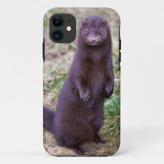 American Mink iPhone 5 Case