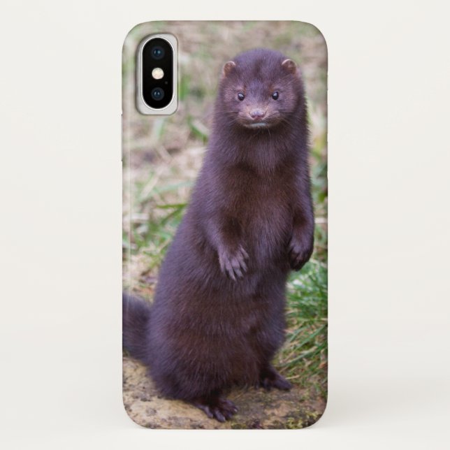 American Mink iPhone X Case (Back)