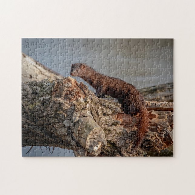 American Mink Jigsaw Puzzle (Horizontal)