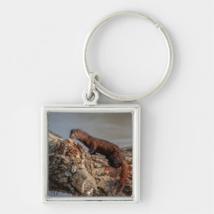 American Mink Key Ring