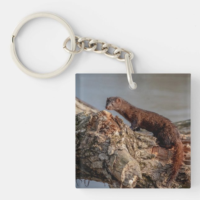 American Mink Key Ring (Front)