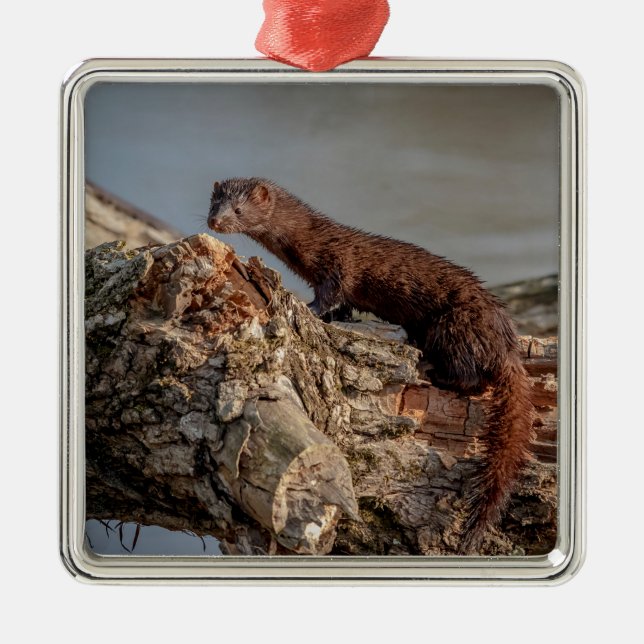 American Mink Metal Tree Decoration (Front)
