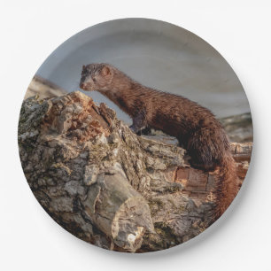 American Mink Paper Plate