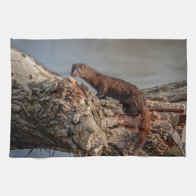 American Mink Tea Towel (Horizontal)