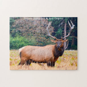 American Moose in California.Christmas Greetings Jigsaw Puzzle
