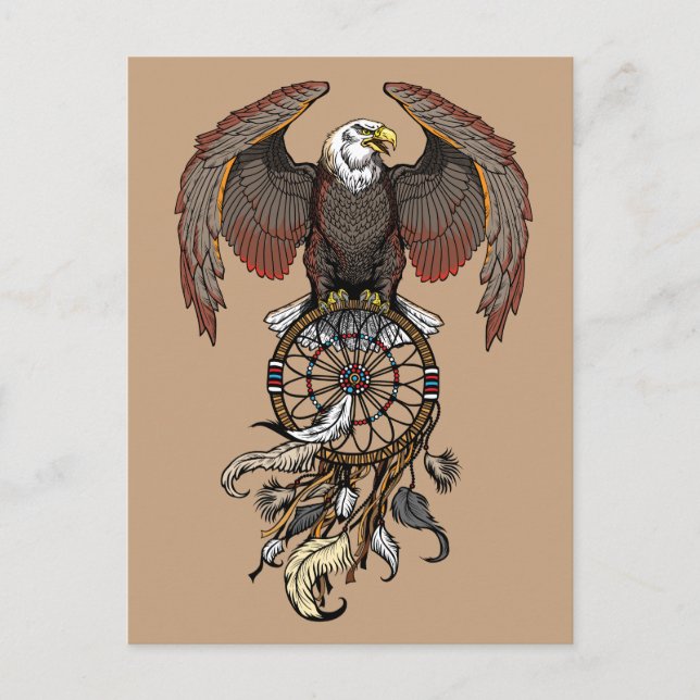 American native indians dreamcatcher postcard (Front)